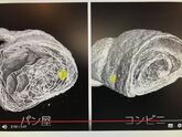 CTスキャンを用いて、「美味しさの可視化」に挑戦してみる